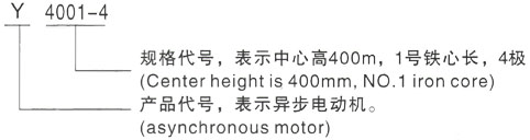 西安泰富西玛Y系列(H355-1000)高压YE2-315L1-三相异步电机型号说明