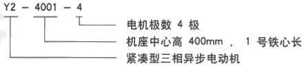 YR系列(H355-1000)高压YE2-315L1-三相异步电机西安西玛电机型号说明